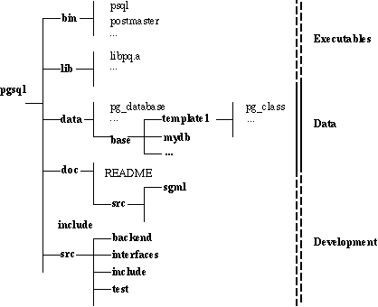 Postgres 文件布局